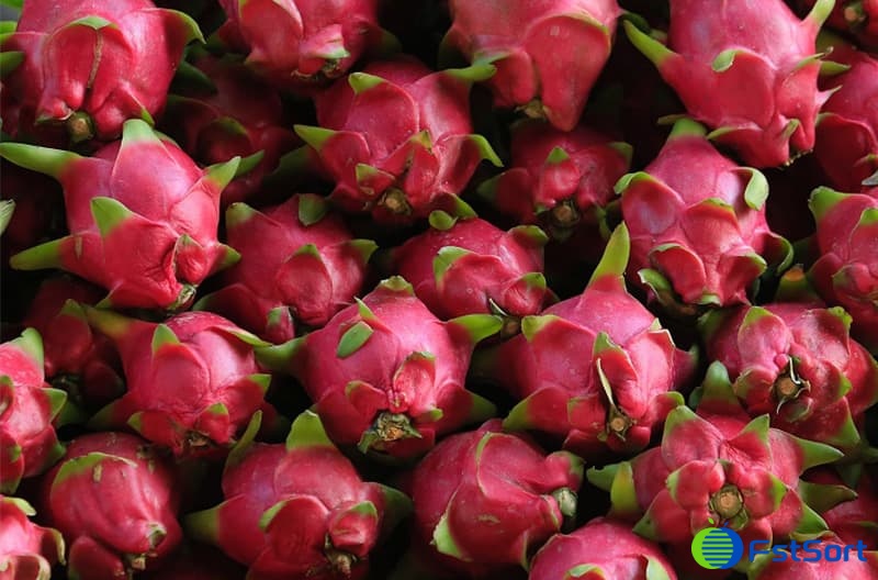 images/1681456247885dragon fruit sorter.jpg